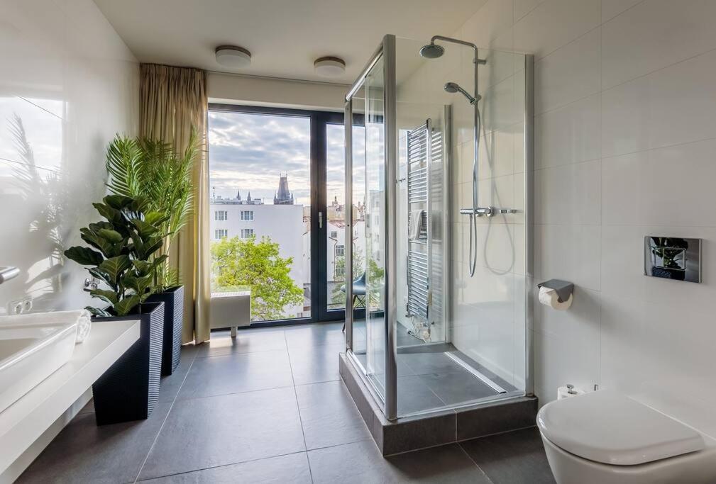 5br+2bath Old Town Industrial Penthouse, A/c Praga